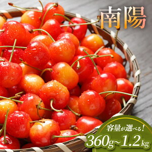 yӂ邳Ɣ[Łzst eʂIׂ 360g`600g@kC mؒY TN{ z 360g`1.2kg LTCYȏ  `F[ ʕ  t[c [RX]@͂F2026N713`