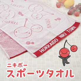 【ふるさと納税】【ニキボー】スポーツタオル【 仁木町 ご当地 ゆるキャラ タオル 雑貨 小物 日用品 】[仁木町観光協会]