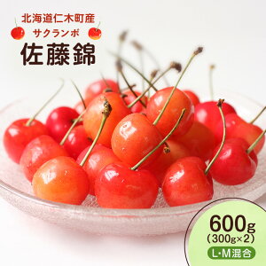 yӂ邳Ɣ[Łzst kC mؒY   600g i300g×2j LEM@{̉ʕ TN{ `F[ t[c ʕ ʕ mؒ m [UMIX FARM]@͂F2026N6{`7