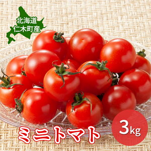 yӂ邳Ɣ[ŁzystzkC mؒY ~jg}g 3kg@є_ [ g}g kCY  VN ]@͂F2025N8{`10{܂