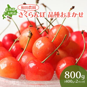 yӂ邳Ɣ[Łz[st] kC mؒY  i킨܂ 800g(400g×2pbN) TN{ `F[ t[c ʕ ʕ mؒ m [ac_]@͂F2026N7{`7{