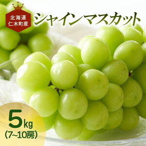 yӂ邳Ɣ[Łz[st] kC mؒY VC}XJbg 7`10[ 5kg ʕ Ԃǂ t[c ʕ uhE }XJbg [JAV]@͂F2025N1010`1125܂