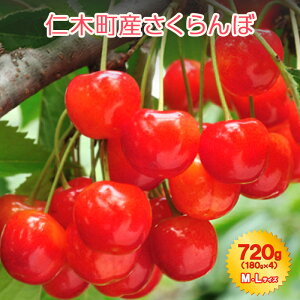 yӂ邳Ɣ[ŁzkC mؒY 7{  720g i180g×4j MELTCY TN{ `F[ t[c ʕ ʕ mؒ m [JAV]@͂F2026N71`26܂