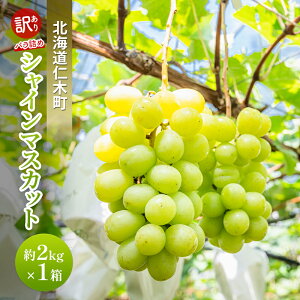 yӂ邳Ɣ[Łz[st] 󂠂 kC mؒ VC}XJbg 2kg×1 uhE  }XJbg ʕ  t[c [cΔ_]@͂F2026N9{`2026N10{