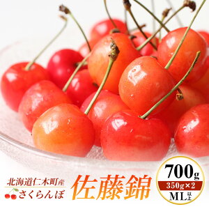 yӂ邳Ɣ[Łzst kC mؒY   700g (350g×2) MLȏ {̉ʕ TN{ `F[ t[c ʕ ʕ mؒ m [ɉ_]@͂F2026N7{`{