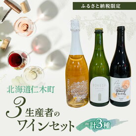 【ふるさと納税】【北海道仁木町 ふるさと納税限定ワインセット】3生産者 ワイン 3本 セット　年代別 飲み比べ 3種 お酒 酒 果実酒 晩酌 葡萄 ぶどう ブドウ 料理 食事 お祝い 北海道 仁木町