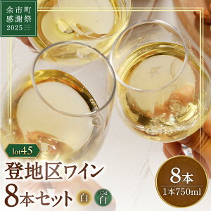 yӂ邳Ɣ[Łzy]sӍ2025zlot2545 on̔C8{Zbg