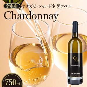 yӂ邳Ɣ[ŁzǂȂɂǂ I`KrEVhl x C 1{ 750ml C Vhl Ԃǂ   蕨 v[g Mtg ӂ邳Ƃ̌ւ kC ]s 