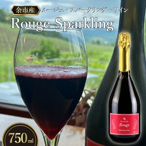 yӂ邳Ɣ[Łz^ԂȋP [W Xp[NO ԃC 750ml I`KrCi[ kC ]sY Ԃǂ C AR[ Xp[NOC Y_KX[U^ M