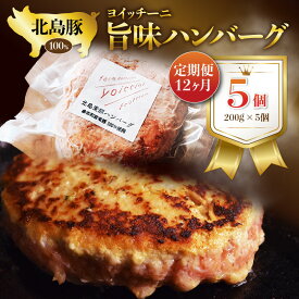 【ふるさと納税】【定期便】12か月 ヨイッチーニ 旨味 ハンバーグ 5個 セット