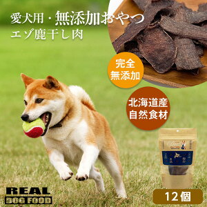 yӂ邳Ɣ[ŁzpYG]12 v360gREAL DOG FOOD ybg  ybgp p p  Y kC ]s 
