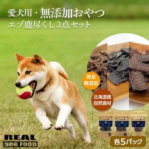 yӂ邳Ɣ[Łzp  Y G]s3_Zbgi e5pbN jv 400g REAL DOG FOOD ybgt[h hbNt[h G]VJ ڈΎ p G]  W[