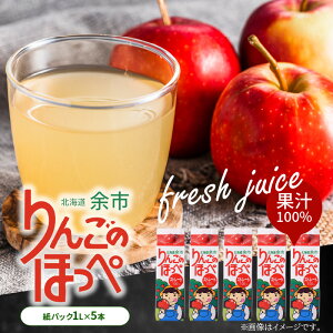 �y�ӂ邳�Ɣ[�Łz��񂲂̎Y�n �k�C���Y ��� �W���[�X �A�b�v���W���[�X ��񂲂̂ق��� 1L × 5�{ �ʏ`100% �X�g���[�g ���p�b�N �W���[�X ���� �ʕ� �t���[�c ��� �A�b�v�� �������� ��