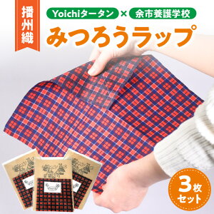 yӂ邳Ɣ[Łzy]szYoichi^[^×]s{wZ dBD݂낤bv3ZbgyXz