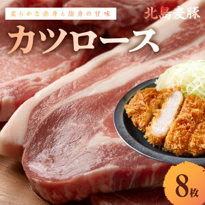 yӂ邳Ɣ[Łzyk؁zJc[X 8  kC ]s  Ⓚ ^pbN gJc p[eB[ ƈ  ܂ ӌ y _炩ȐԐg g̊Ö 