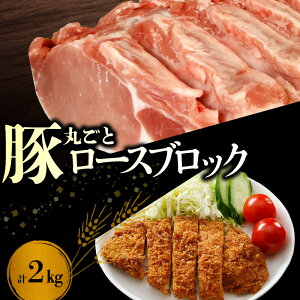 yӂ邳Ɣ[Łzyk؁z[XubNۂ 2kg    Ԃ u^ ؓ  [Xg|[N Ƃ񂩂 ē ƂĂ ē BBQ o[xL[ p Ԃ 傤Ă j