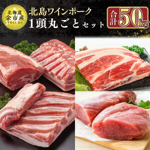 yӂ邳Ɣ[Łzy_꒼zkCY kC|[N 1ۂƃZbg v50kg ؓ   Zbg Ⓚ  [X o [X  Ef q   kC ]s 