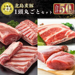 yӂ邳Ɣ[Łz y _꒼ z kCY k 1ۂƃZbg v50kg ؓ  [X o [X  Ef q Zbg lߍ킹 uh Ⓚ Y kCY Y Y 