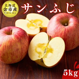 yӂ邳Ɣ[Łzys\F2025N12{ȍ~z ]sY Tӂ _Ŷ 5kg  Lxȉʏ` Â  VLVL G z W AbvpC ~̖o {