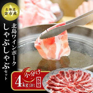 yӂ邳Ɣ[Łzy_꒼z^pbN kCY kC|[N ԂԗpEf 4kgyzؓ   Ef Ԃ ₵ Ⓚ  pbN Zbg  kC