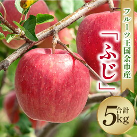 【ふるさと納税】【2025年11月下旬より発送】フルーツ王国余市産 「 ふじ 」 5kg 【 ニトリ観光果樹園 】 りんご リンゴ 林檎 果物 アップル フルーツ お取り寄せ プレゼント 贈り物 ギフト 先行予約 北海道 余市町 送料無料