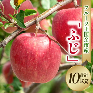 yӂ邳Ɣ[Łzy2025N11{蔭zt[c]sY u ӂ v 10kg y jgόʎ z  S ь ʕ Abv t[c  v[g 蕨 Mtg 