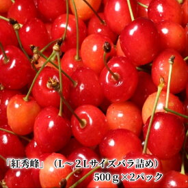 【ふるさと納税】【先行予約】令和6年産＜北海道余市産＞さくらんぼ「紅秀峰」（L～2Lサイズ　バラ詰め）500g×2パック 7月上旬〜7月中旬発送予定【VergerNobori1976】【北海道アグリドリーム】さくらんぼ フルーツ 果物 果実 北海道 余市産