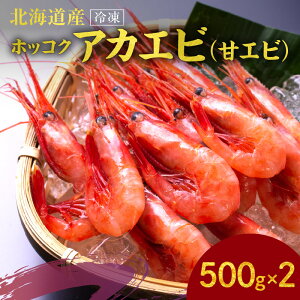 yӂ邳Ɣ[ŁzⓀzbRNAJGriÃGrj500g×2 Gr  CV ÊCV  kt  hg H CN o^[\e[ X` h g ܂ Ⓚ Y CN  