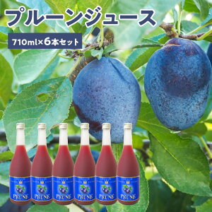 yӂ邳Ɣ[Łz v[W[X 710ml × 6{ Zbg Xg[g kCY v[ W[X Xg[gW[X ʏ`100 v[g 蕨 Mtg  j  Y kC