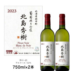 【ふるさと納税】葡萄作りの匠 北島秀樹ピノ・ノワール ブラン・ド・ノワール2023 750ml 2本 余市町産 ぶどう 酒 洋酒 果実酒 アルコール 果実味 北海道産 お取り寄せ 送料無料