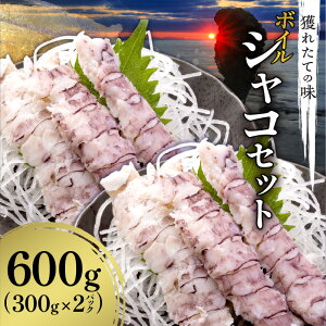 yӂ邳Ɣ[Łz]5.00 lꂽĂ̖I {CVR 300g × 2 pbN v600g lꂽ C̕ bk  hg i VՂ  g pX^ Aq[W 킳яݖ vvH 