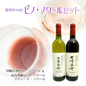 yӂ邳Ɣ[ŁzkCC ]s ̏ smEm[ Zbg 750ml × 2{ p c萳L kG ԃC C uEhEm[ GIkC 邢r[F `F