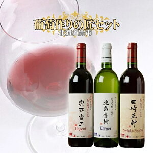 yӂ邳Ɣ[ŁzkCC ]s ̏ C 750ml 3{ Zbg ԃC C h ~fBA kG c萳L ˕x c@CQg smEm[ Pi[ Q