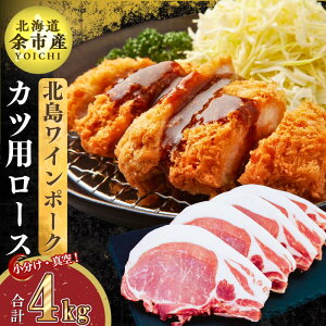 yӂ邳Ɣ[Łzy_꒼z^pbN kCY kC|[N Jcp[X 4kg yzkC ]s ؓ  k pbN  gJc [X JcJ[ 