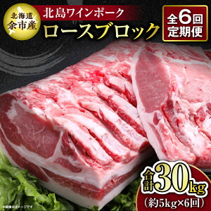 yӂ邳Ɣ[Łzy6ցzy_꒼z kCY kC|[N [X ubN 5kg v30kg Ԃ u^  ؓ BBQ Lv Ⓚ  p Jc Ƃ񂩂 JcTh Xe[L 