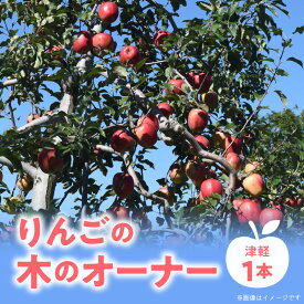 【ふるさと納税】 りんごの木のオーナー 【品種：津軽】 りんご リンゴ 林檎 りんごの木 オーナー つがる フルーツ 果物 デザート おやつ ジュース ジャム スムージー タルト アップルパイ 収穫 体験 北海道 余市町