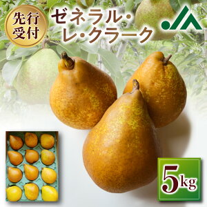 yӂ邳Ɣ[Łzy2025N10{ȍ~s\zmi[lEEN[Nj 5kg ]sY m [lEEN[N 5kg L Ö 悢_ kC ]s t[