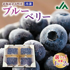 【ふるさと納税】甘くてジューシー 余市産 冷凍ブルーベリー 1kg or 2kg 余市産ブルーベリー 小分けパック バラ詰め 不揃い JAよいち 送料無料 国産ブルーベリー アントシアニン 抗酸化作用 目に良い スーパーフード 急速冷凍 フルーツ 果物 送料無料 北海道 余市町