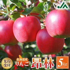 【ふるさと納税】【先行受付：2026年10月中旬以降発送分】りんご（昂林）5kg 香り高くみずみずしい 余市 果汁 果肉 かため 適度な酸味 フルーツ くだもの フルーツ アップルパイ コンポート 光センサー選果 お取り寄せ 先行販売 予約 アップル 北海道 余市町 送料無料