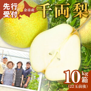 �y�ӂ邳�Ɣ[�Łz�y2026�N9�����{�ȍ~�����z�痼�� 10kg�� ( 22�ʑO�� ) �k�C���Y �]�s���Y �V���L�V���L�H�� �����ς�Â� �� ���̗� �� �G�ߌ��� �G�߂̖��o �� �ʕ� �t���[�c ���蕨 �M�t�g