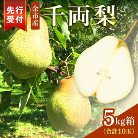 【ふるさと納税】高評価★4.27 【2026年9月下旬以降発送】千両梨 5kg箱 ( 10玉 ) シャキシャキ食感 さっぱり甘み 梨 幻の梨 青梨 季節限定 季節の味覚 梨 果物 フルーツ 贈り物 ギフト お取り寄せ 希少品種 限定生産 市場に出回らない 北海道 余市町 送料無料