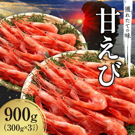 【ふるさと納税】【北海道余市町産】獲れたて 鮮度抜群！急速超低温冷凍 甘エビ900g ( 300g × 3パック ) 刺身用 急速冷凍 超低温冷凍 新鮮 獲れたて 鮮度抜群 海の宝石 お刺身 焼き甘エビ ボイル てんぷら フライ 甘海老 アマエビ プリプリ食感 北海道 余市町 送料無料