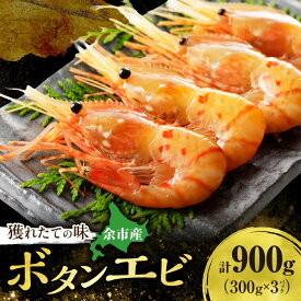【ふるさと納税】獲れたての味！北海道余市産 ボタンエビ 900g 300g×3パック 地元漁港直送 急速超低温冷凍 獲れたて 刺身用 生食可 国産 天然 牡丹海老 プリプリ食感 小分け 海の宝石 有頭 北海道 余市町 送料無料