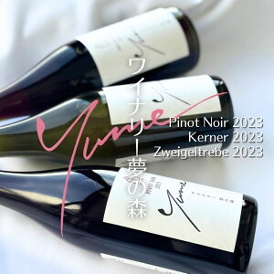 yӂ邳Ɣ[Łzyʌz]suCi[̐XvC3{Zbg ]s kCY  