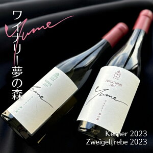 yӂ邳Ɣ[Łzyʌz]suCi[̐XvC2{Zbg ]s kCY  