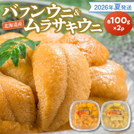 【ふるさと納税】【2026年夏発送】 塩水ウニ 【 バフンウニ ＆ ムラサキウニ 】 各 100g × 2パック 北海道余市町産 冷蔵 生うに うに 海産物 魚介類 北海道産 余市産 とろける 濃厚 磯の風味 甘味 強い 香り 余韻 後味 爽やか 送料無料
