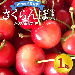 yӂ邳Ɣ[Łzy2026NĔz  ND]I  J_ ]sY  500g × 2pbN v 1kg t[c ʕ ʎ `F[  {̖o kC J_