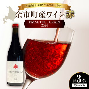 �y�ӂ邳�Ɣ[�ŁzYoichi LOOP �\�����G�Z���N�g �]�s���Y���C�� PASSETOUTGRAIN 2024�y�ԁz3�{�Z�b�g �k�C�� �]�s�� ��������
