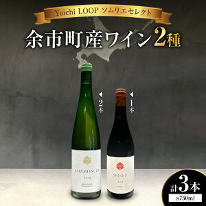 �y�ӂ邳�Ɣ[�ŁzYoichi LOOP �\�����G�Z���N�g �]�s���Y���C�� AMAMITSUKI 2024�ESHINKU 2024�y��/���z3�{�Z�b�g �k�C�� �]�s�� ��������