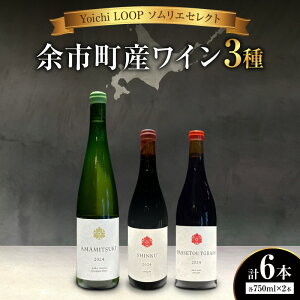 �y�ӂ邳�Ɣ[�ŁzYoichi LOOP �\�����G�Z���N�g �]�s���Y���C���y3��zAMAMITSUKI 2024�ESHINKU 2024�EPASSETOUTGRAIN 2024 6�{�Z�b�g �k�C�� �]�s�� ��������